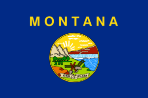 Montana Bitcoin Reserve Bill Rejected: Why?
